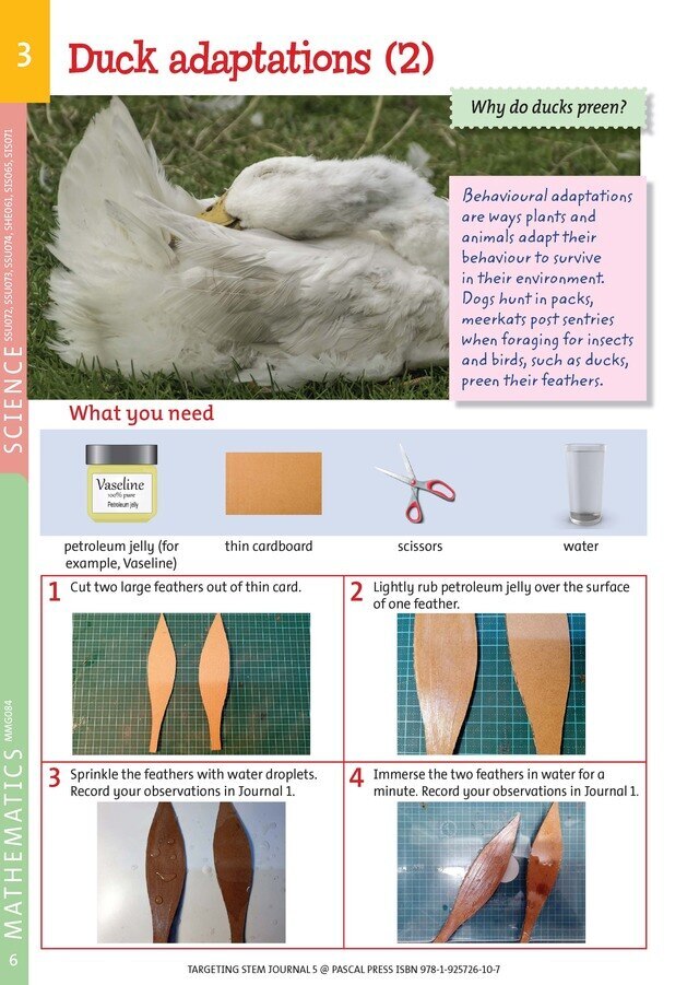 Targeting STEM Journal - Year 5