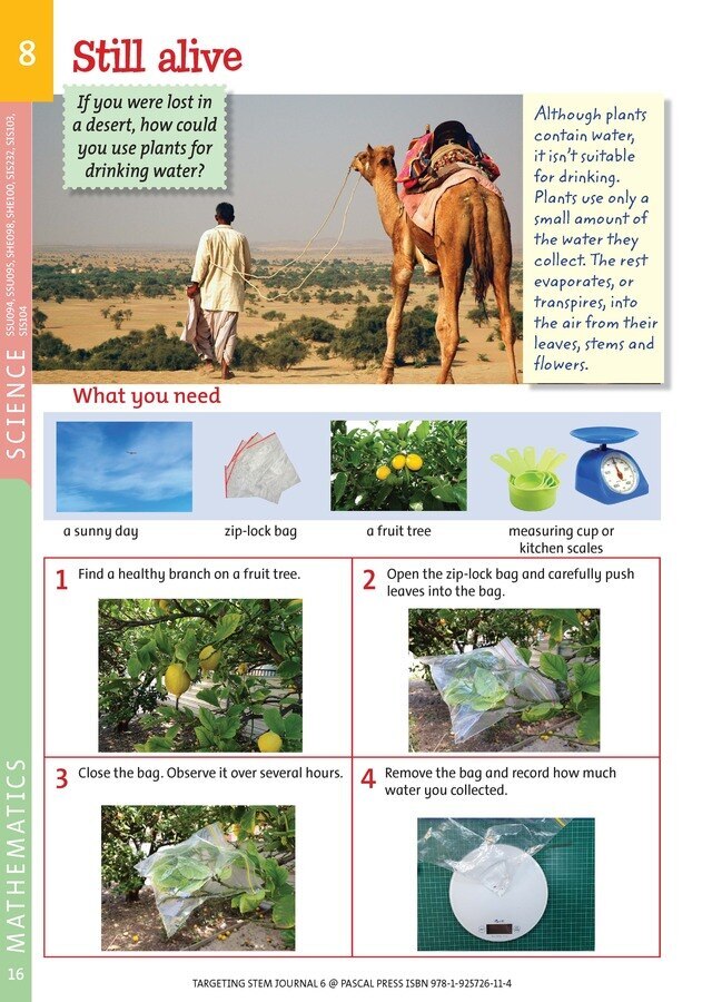 Targeting STEM Journal - Year 6