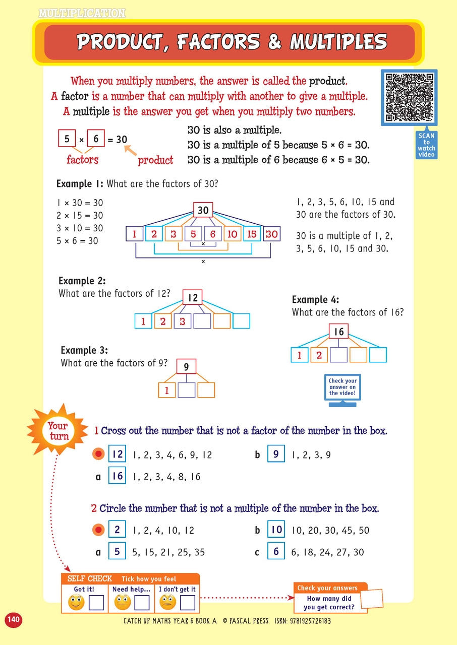 Catch-Up Maths: Number & Algebra, Statistics & Probability - Year 6 Book A