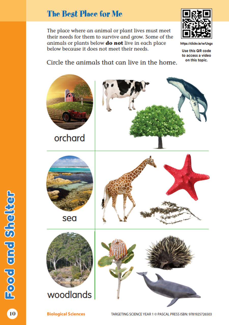 Targeting Science Year 1