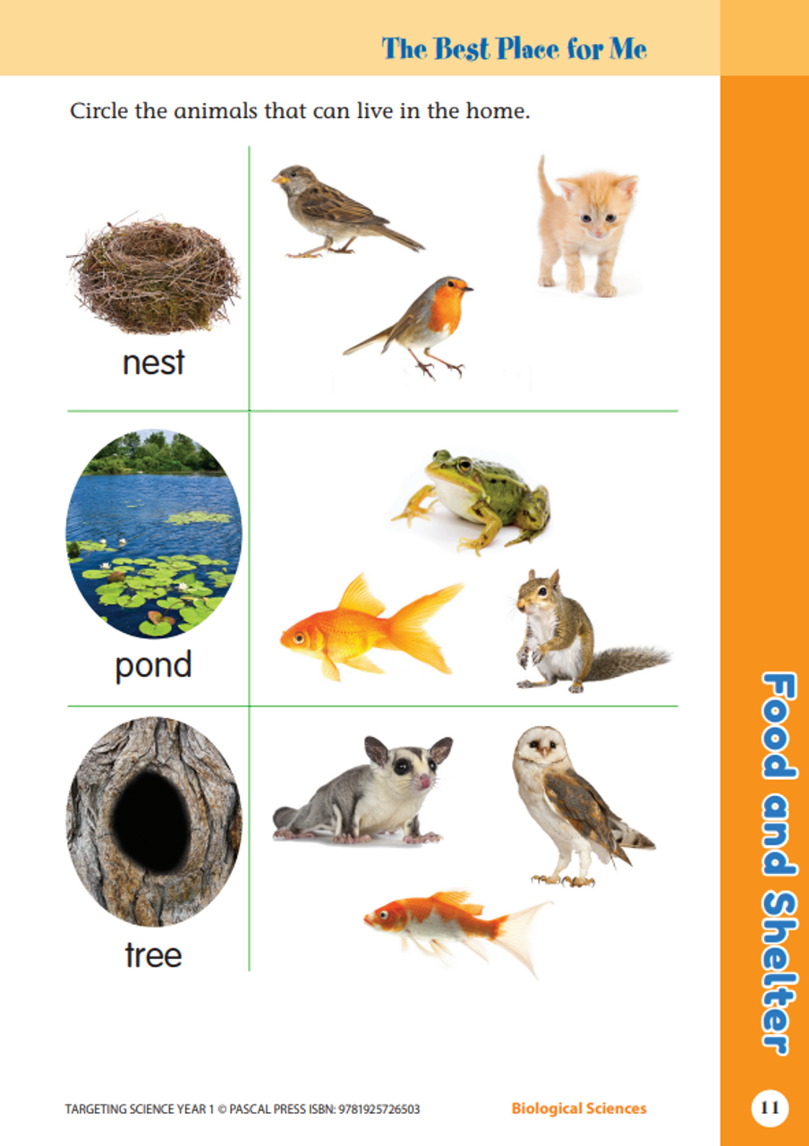 Targeting Science Year 1