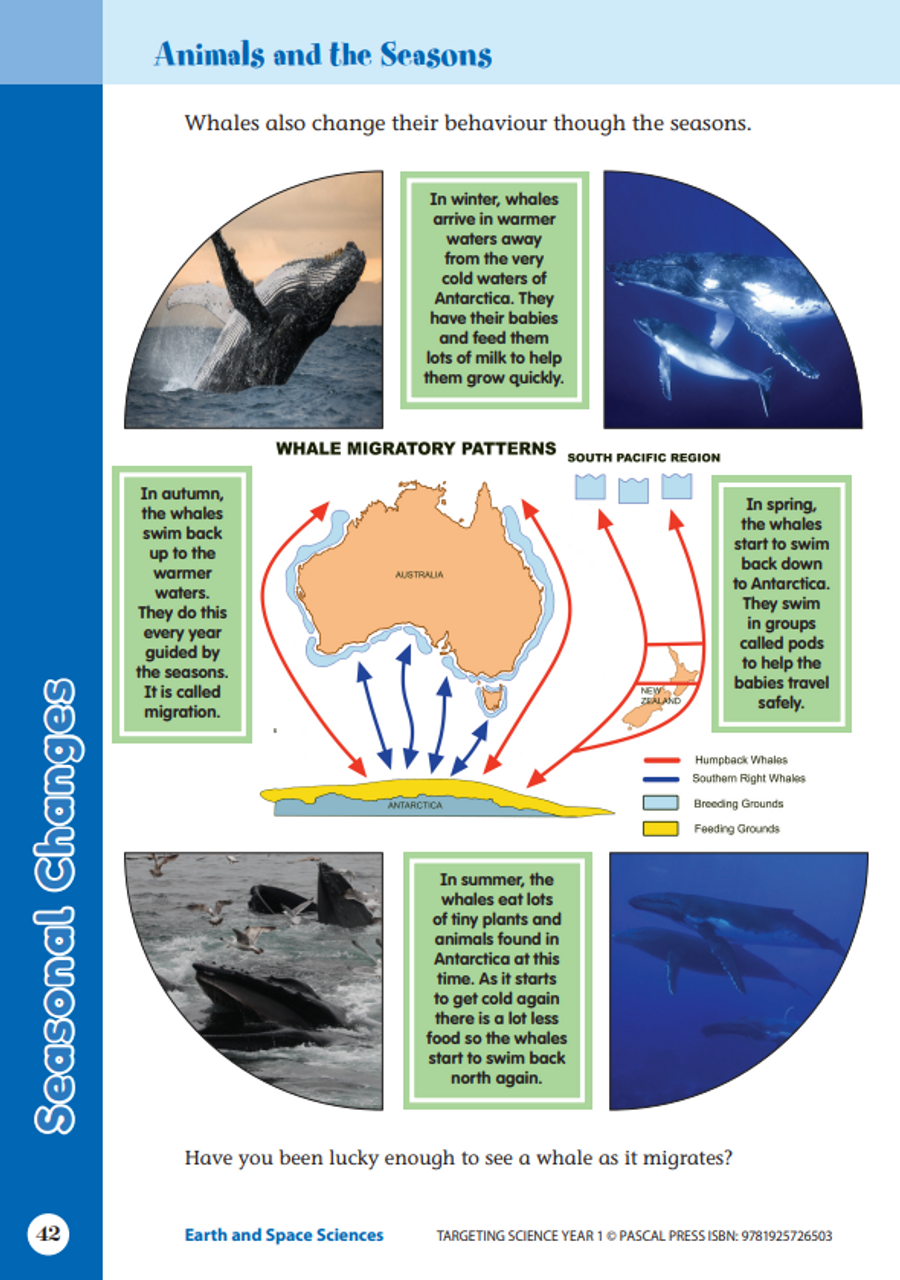 Targeting Science Year 1
