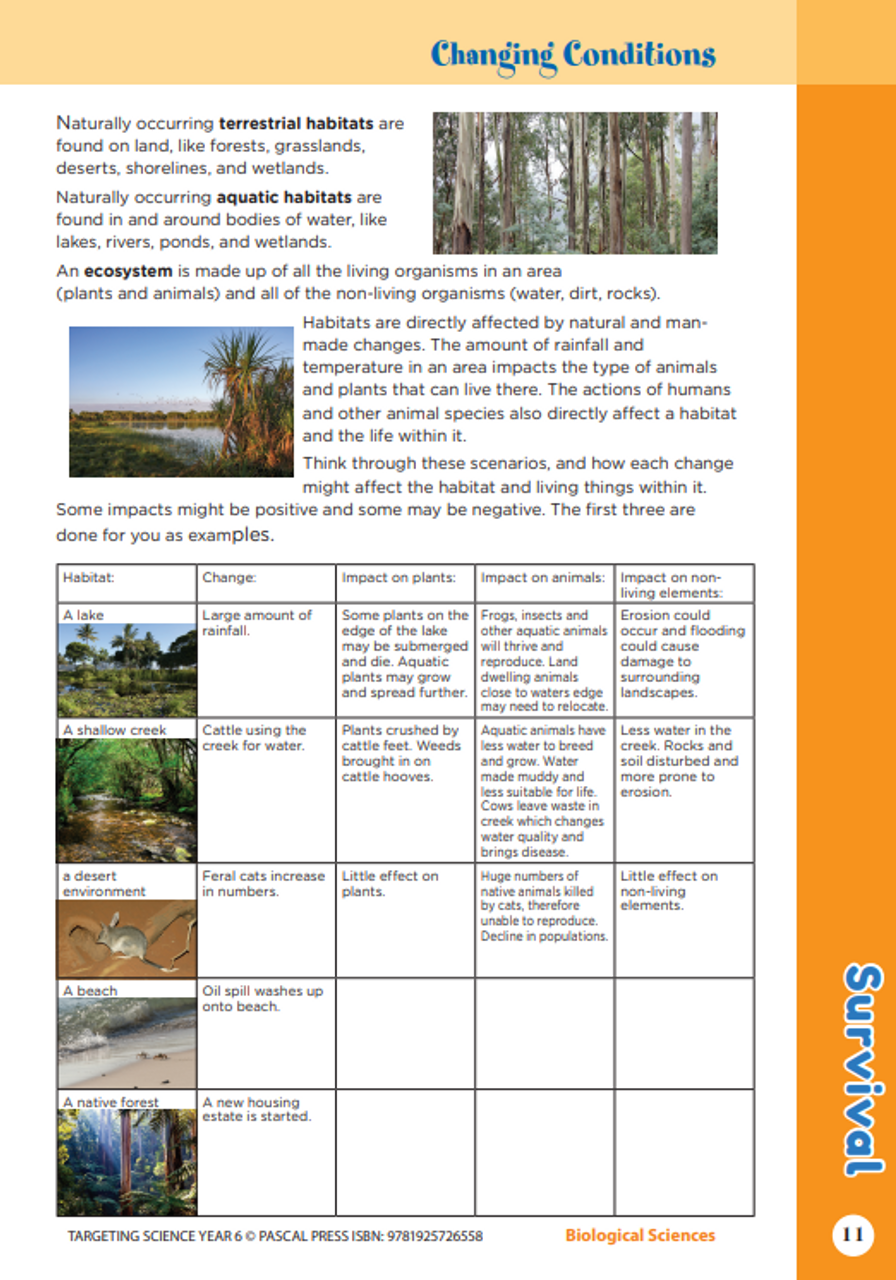 Targeting Science Year 6