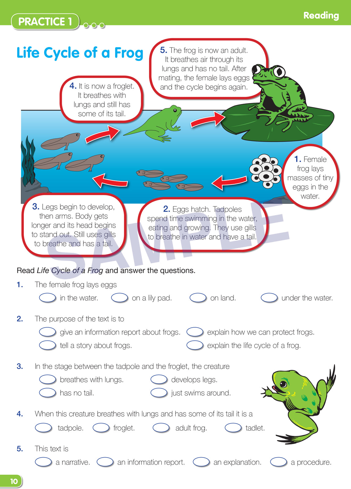 Time for NAPLAN - Literacy: Year 3