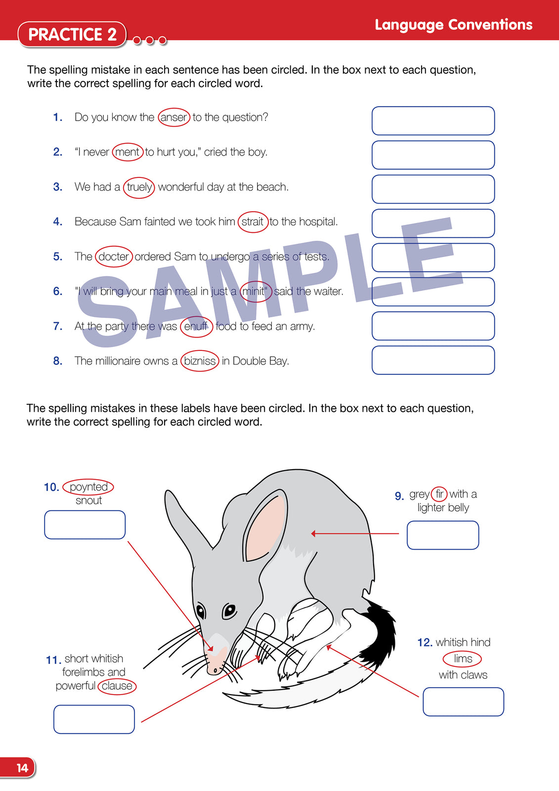 Time for NAPLAN - Literacy: Year 5