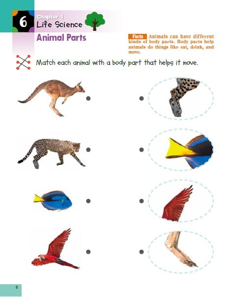 Science - Pre K & Up: Sticker Activity Book