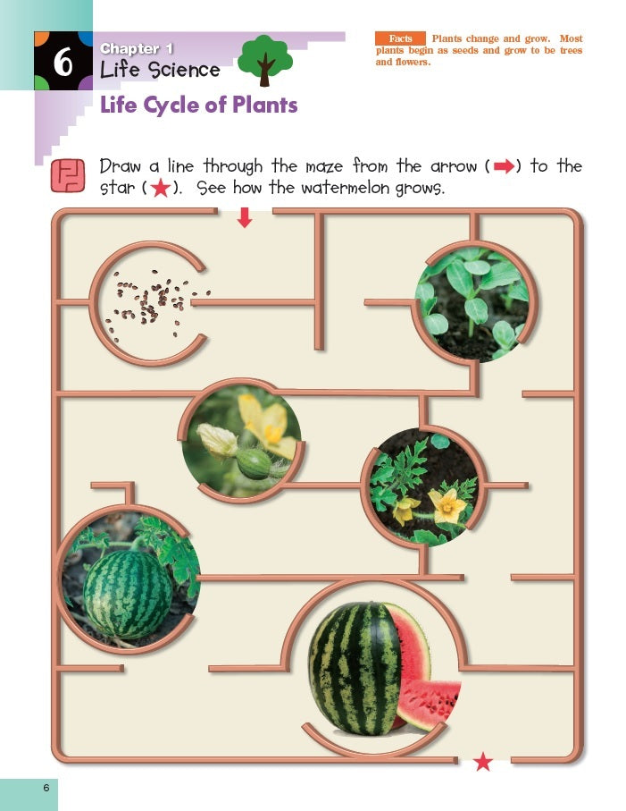 Science K & Up: Sticker Activity Book