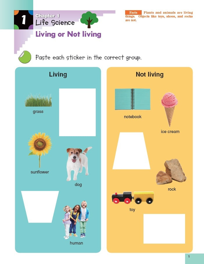 Science K & Up: Sticker Activity Book