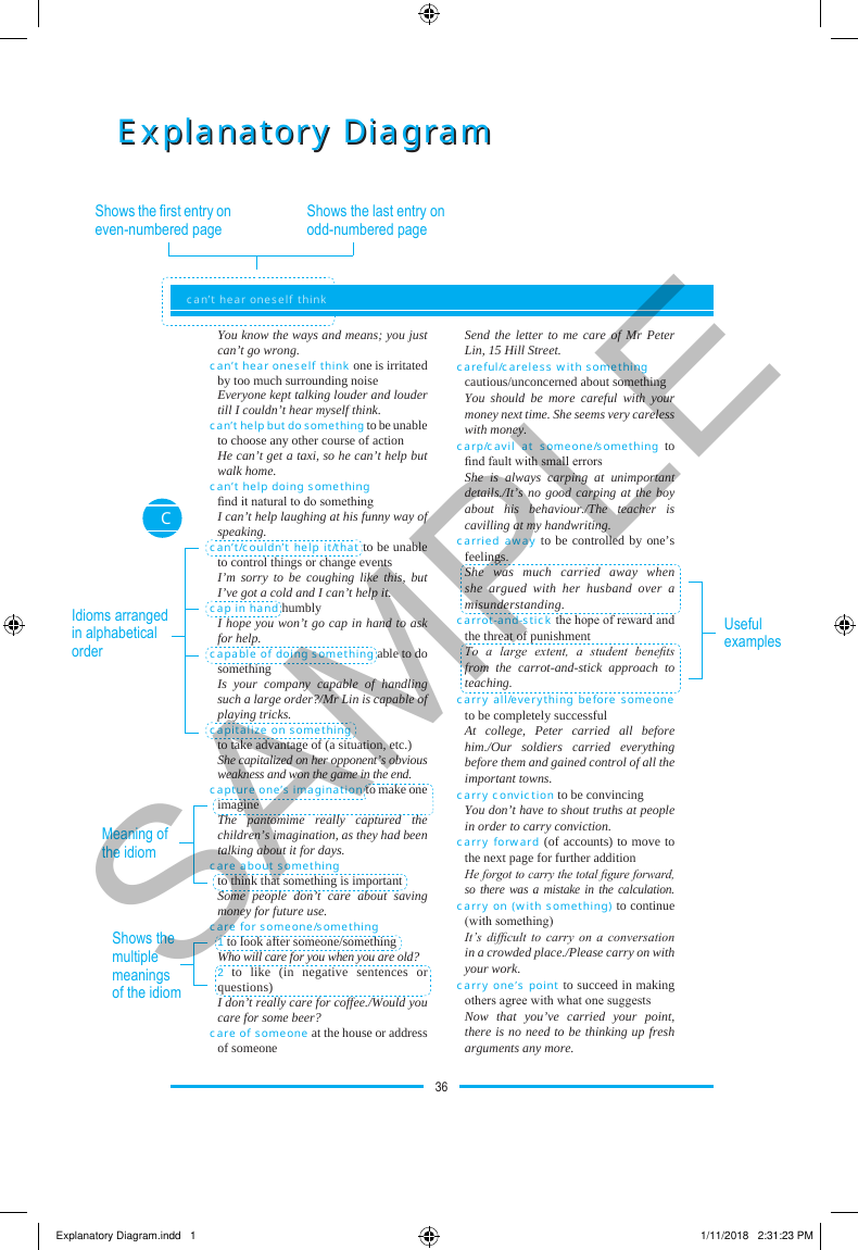 Advanced Dictionary of English Idioms sample page