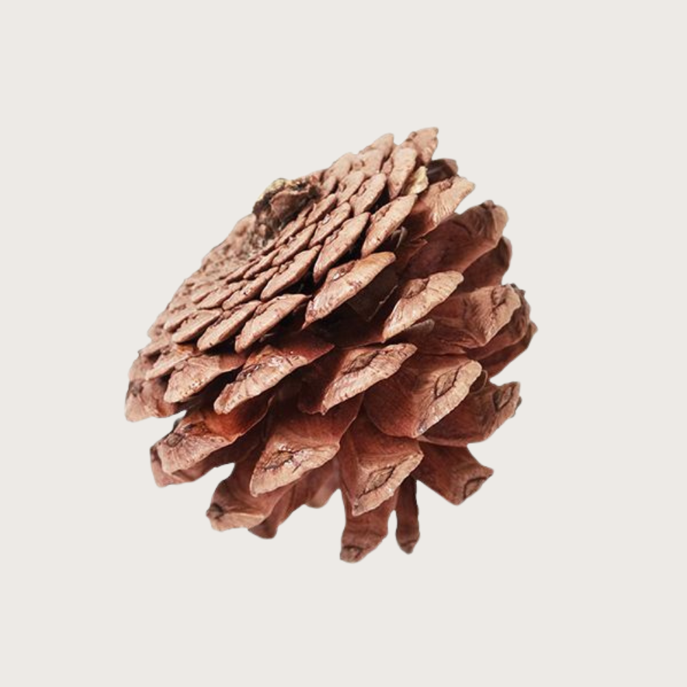 Natural Craft