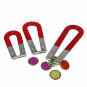 Horseshoe Magnet (Set of 3)
