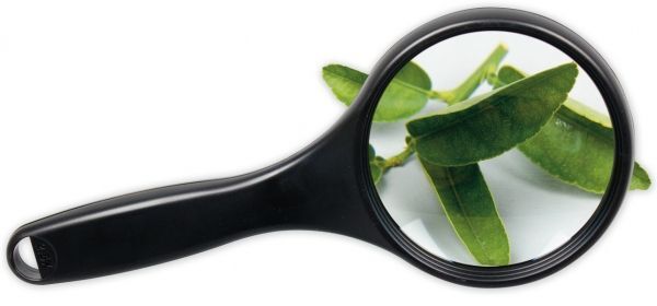 Deluxe Magnifier