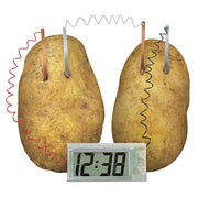 Potato Clock Science Experiment Kit