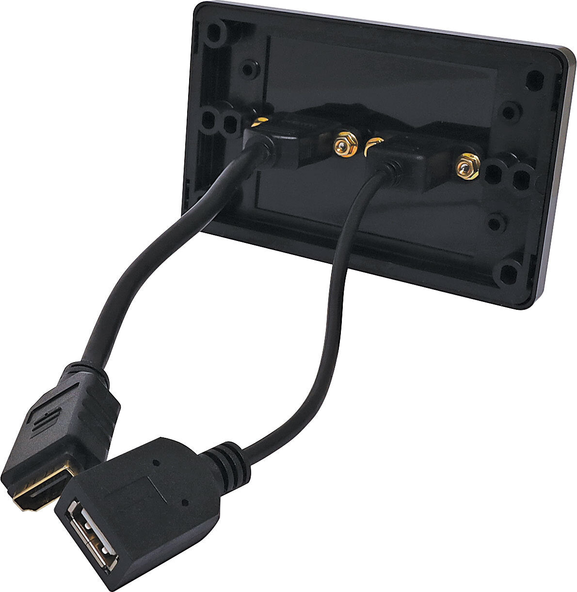 Dynalink HDMI USB A Black Wallplate with Flyleads