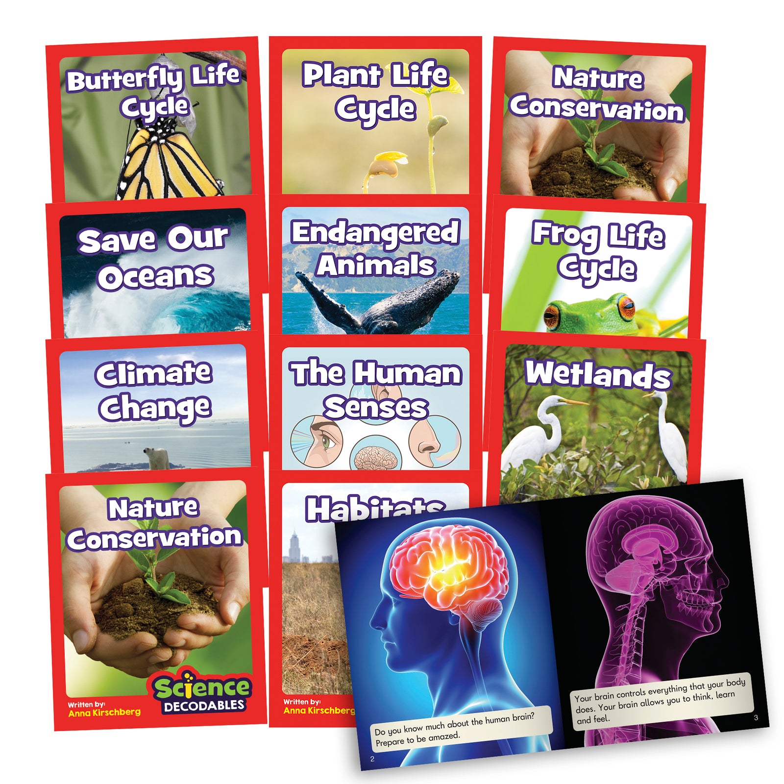Science Decodables Phase 6 - Non-Fiction