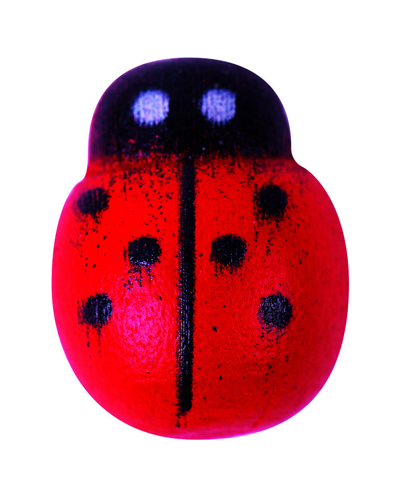 Wooden Ladybugs - Assorted (Pack of 200)