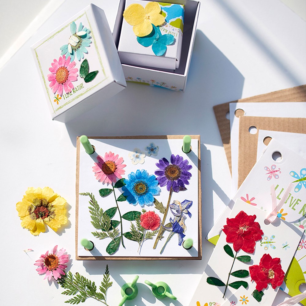 4M Green Science - Pressed Flower Art - view 3