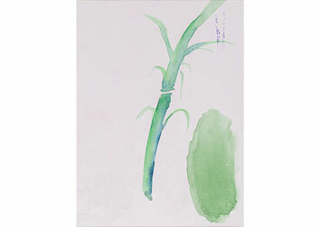 Watercolour Cotton Boards - 10 x 12"