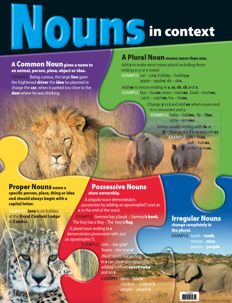 Nouns In Context Chart