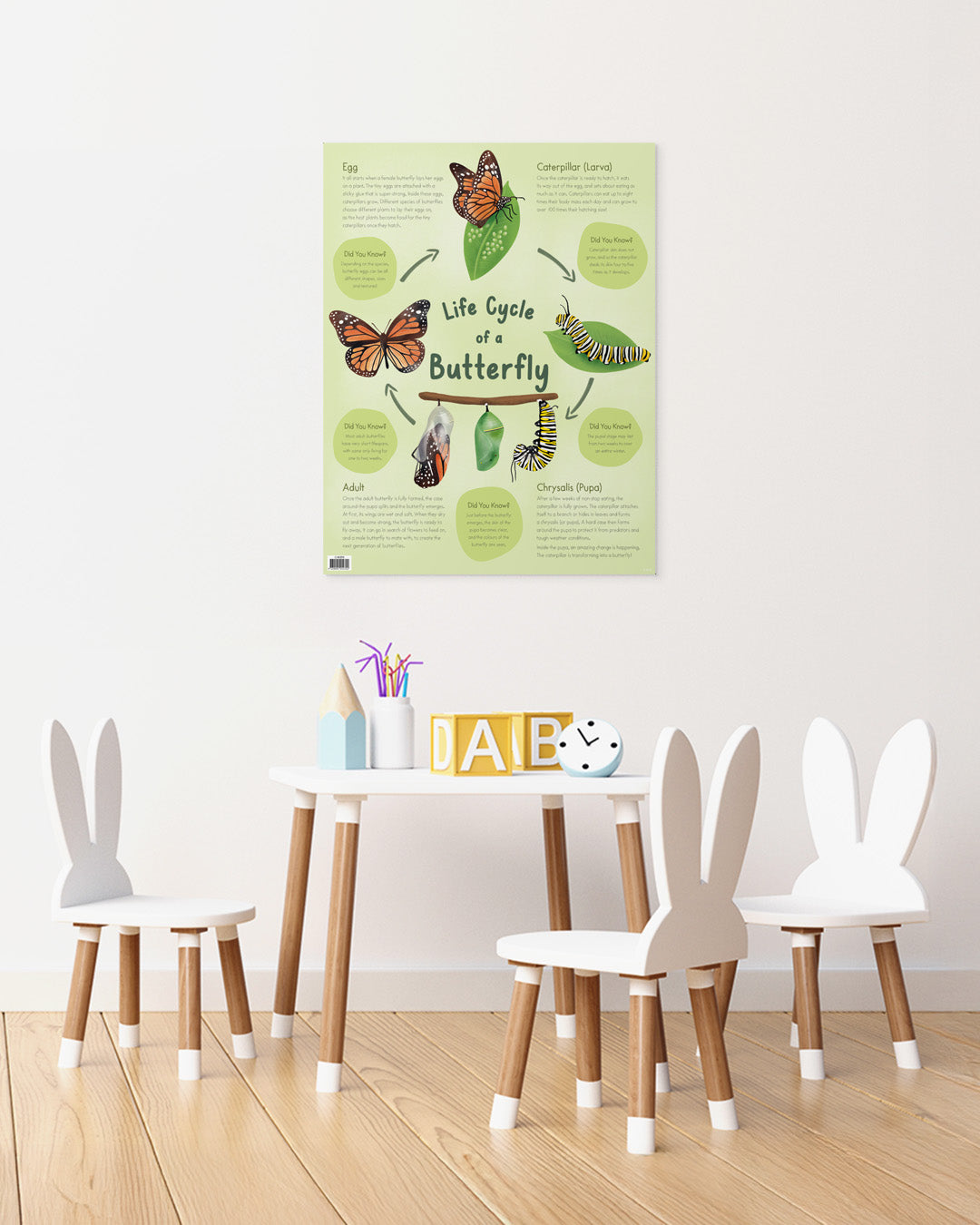 Life Cycle of a Butterfly Chart