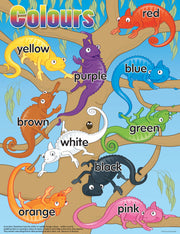 Ozzie Chameleons Colour Chart (Previous Design)
