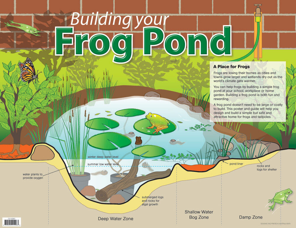 Building Your Frog Pond Chart