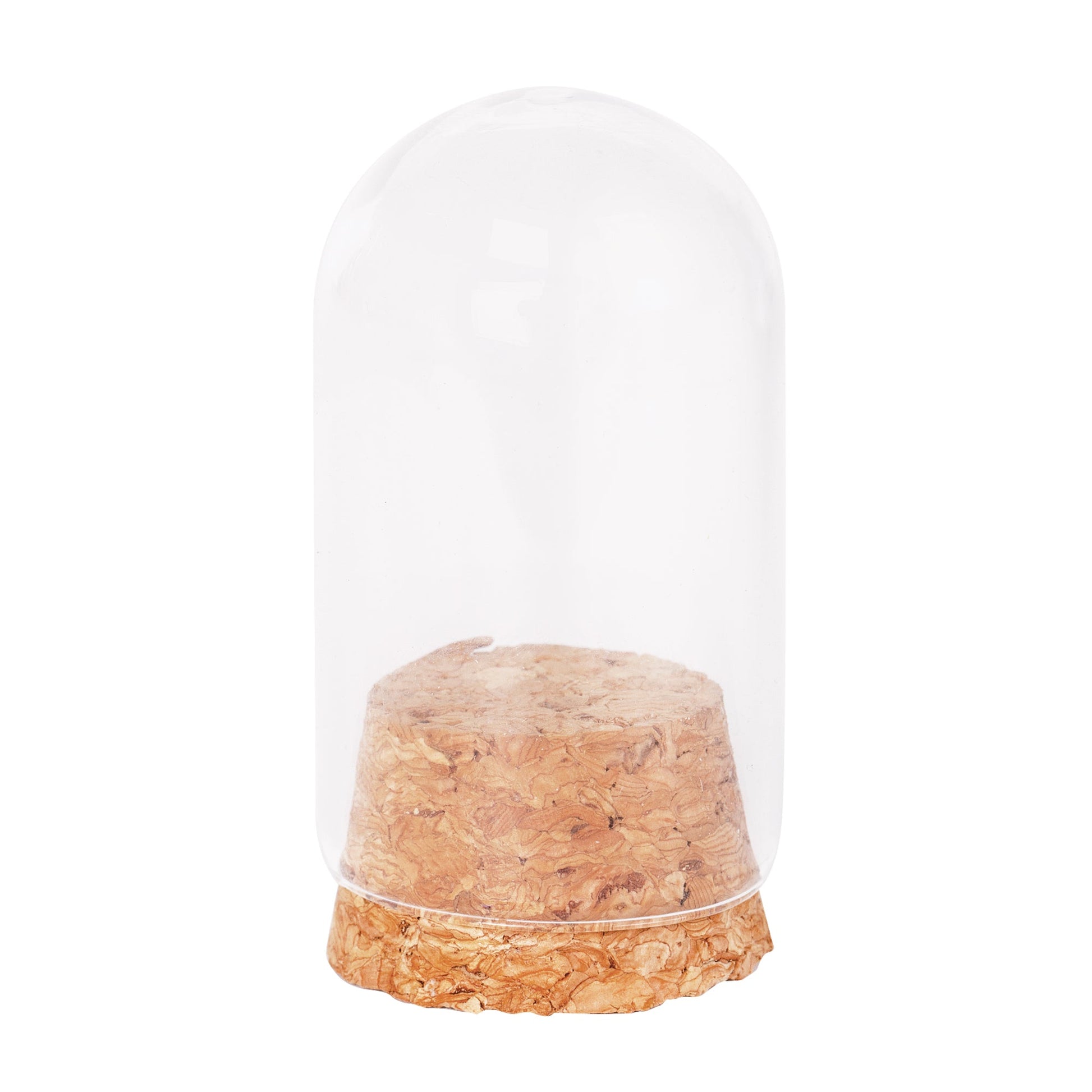 Glass Mini Domes - Pack of 10