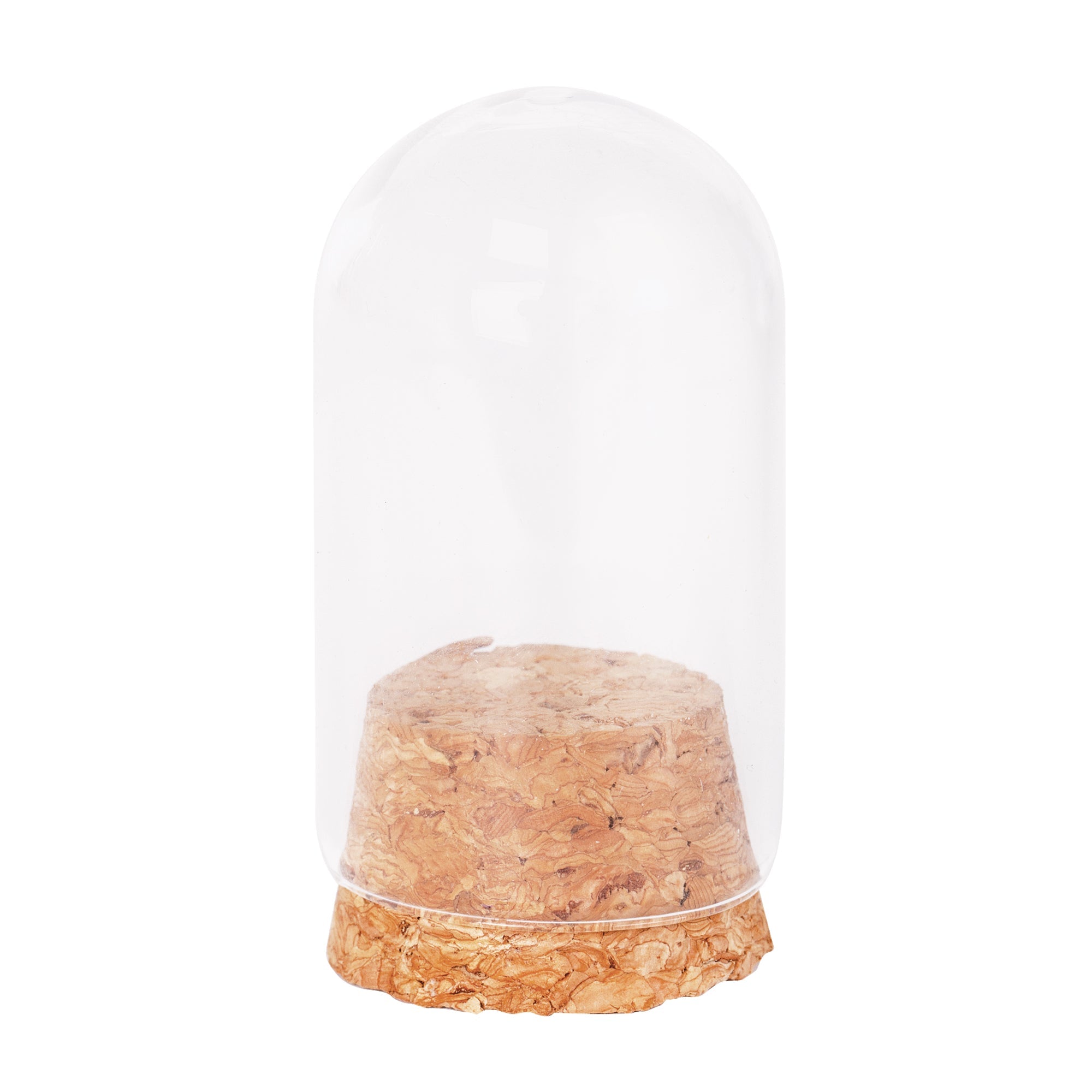 Glass Mini Domes - Pack of 10