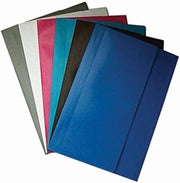 Colby Polywally File (Foolscap) 328F: Assorted (Pack of 12)