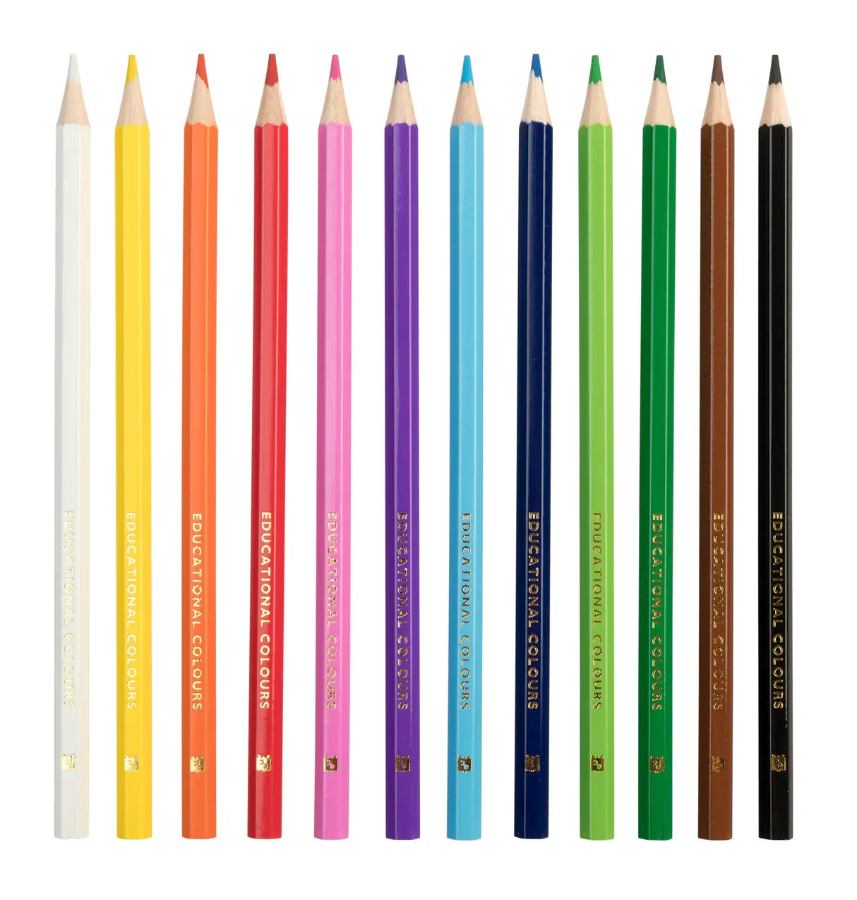 Washable Colouring Pencils - Set of 12