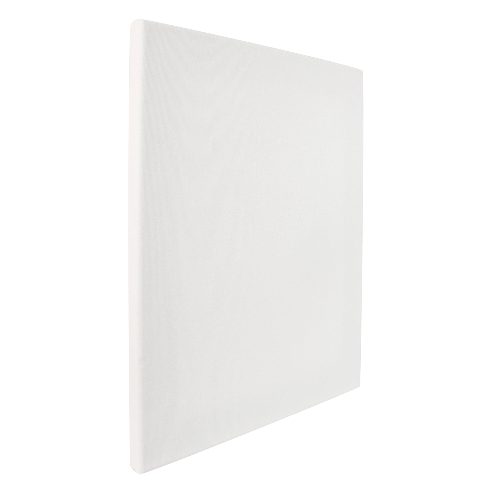 Zart Stretched Canvas 'Thin' 16 x 20" 20s