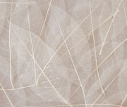 Natural Skeleton Leaves (Pack of 100)