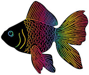 Scratch Fish (Pack of 24)