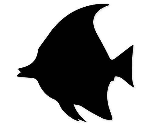 Scratch Fish (Pack of 24)