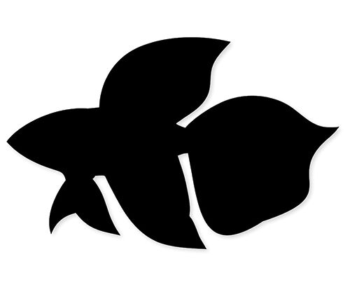Scratch Fish (Pack of 24)