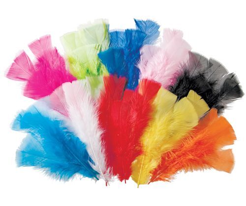 Feathers - Assorted (60g)