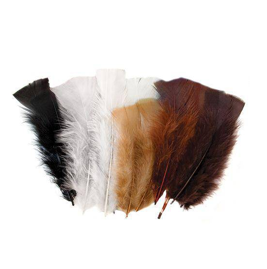 Feathers - Natural (60g)