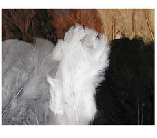 Feathers - Natural (60g)