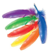 Feathers Goose 20cm - 8 Colours (Pack of 100)