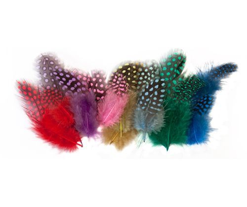 Guinea Fowl Feathers - Assorted (10g)