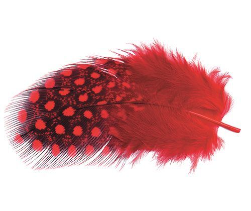Guinea Fowl Feathers - Assorted (10g)