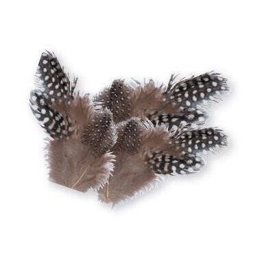 Guinea Fowl Feathers - Natural (10g)