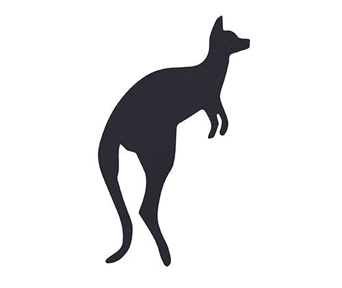 Scratch Art Australian Animals (Pack of 30)