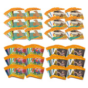 Phase 2 Essentials Classroom Kit