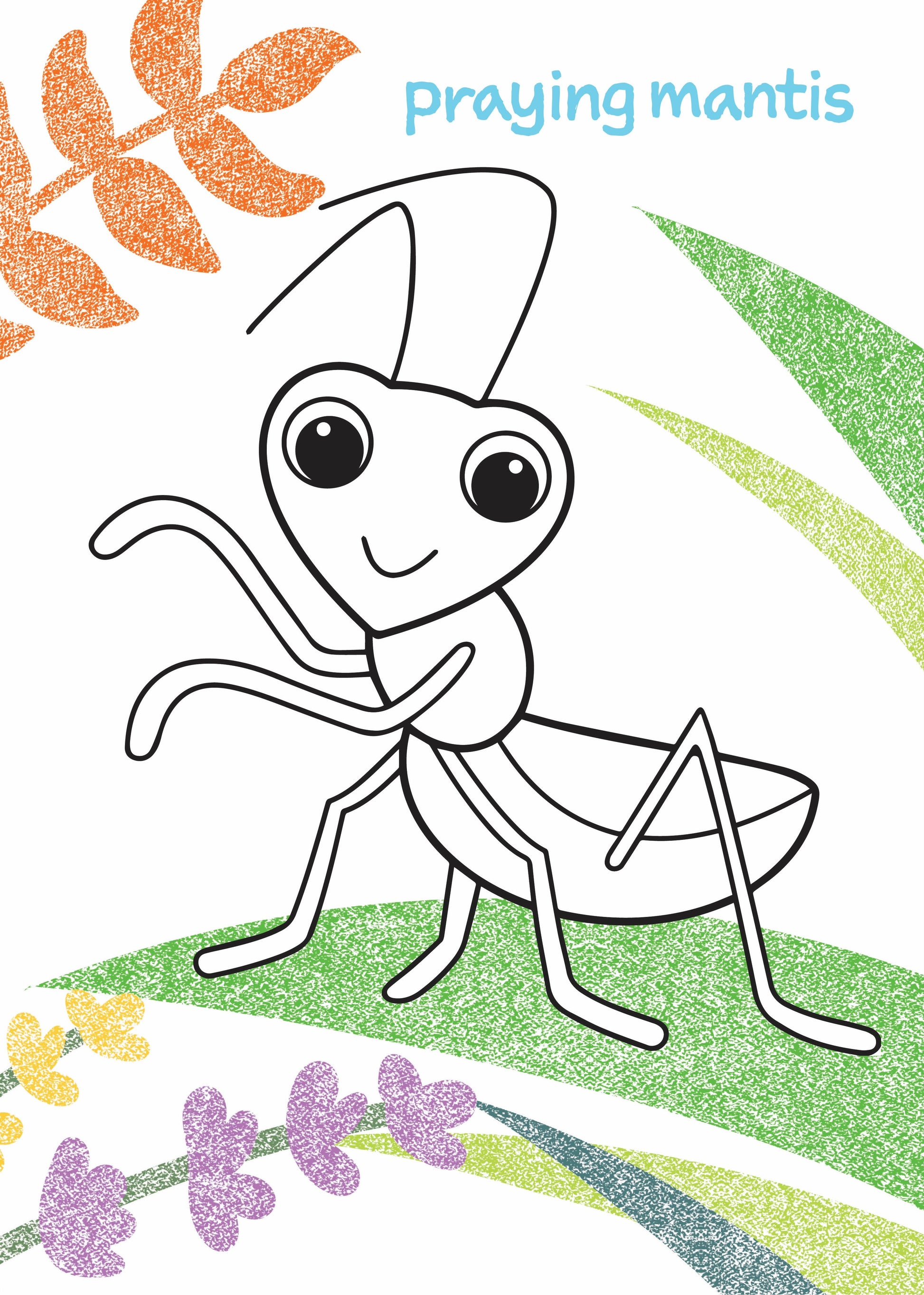 My First Colouring Book - Garden Bugs