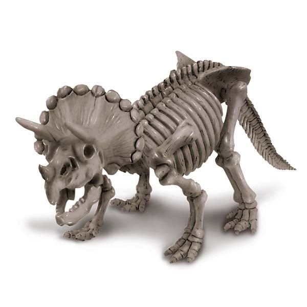 4M Dig a Dinosaur - Triceratops - view 3