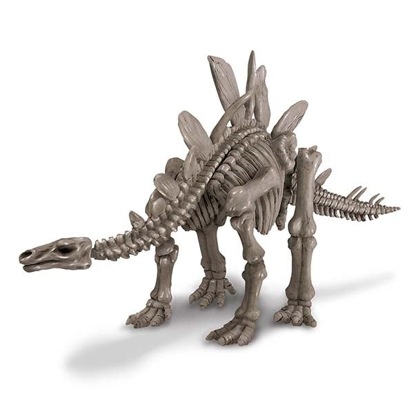 4M Dig a Dinosaur - Stegosaurus - view 3