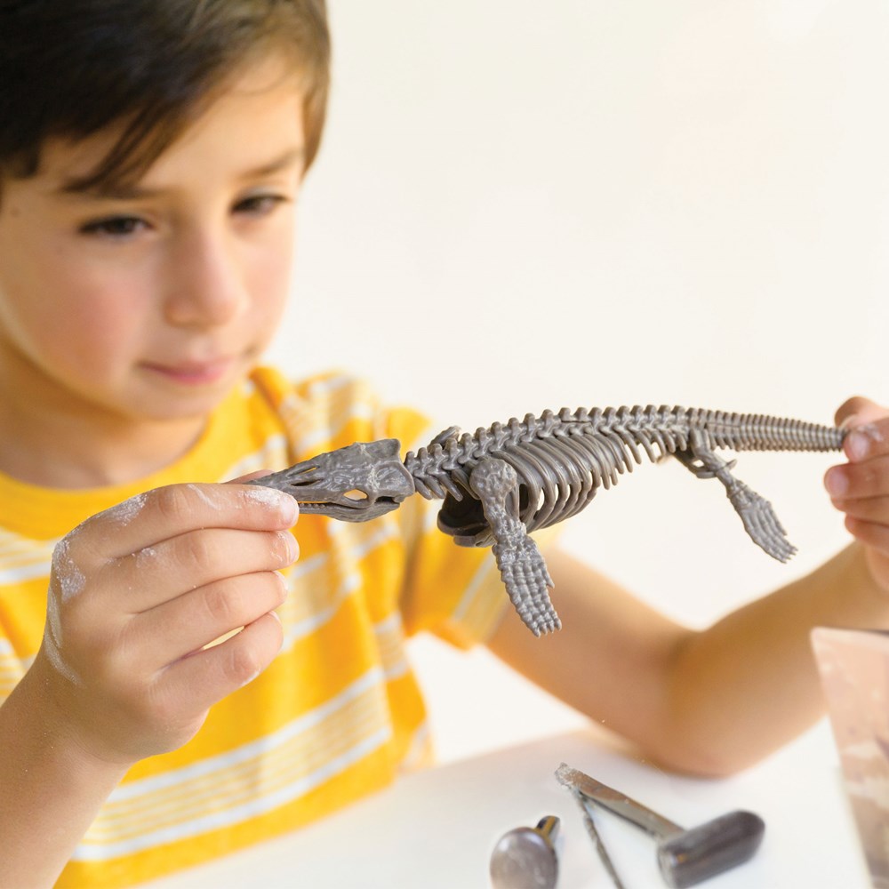4M KidzLabs - Dig a Dinosaur - Mosasaurus - view 3