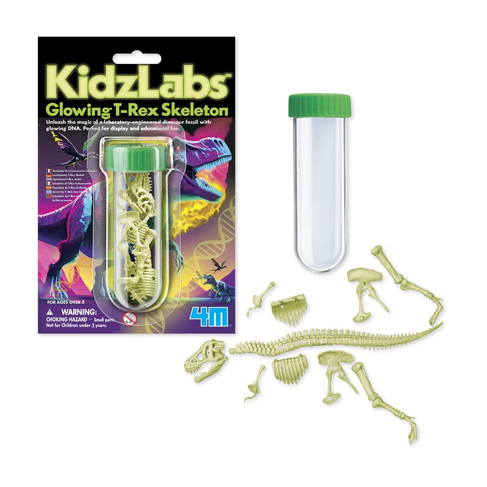 4M KidzLabs - Glowing T-Rex Skeleton - view 2