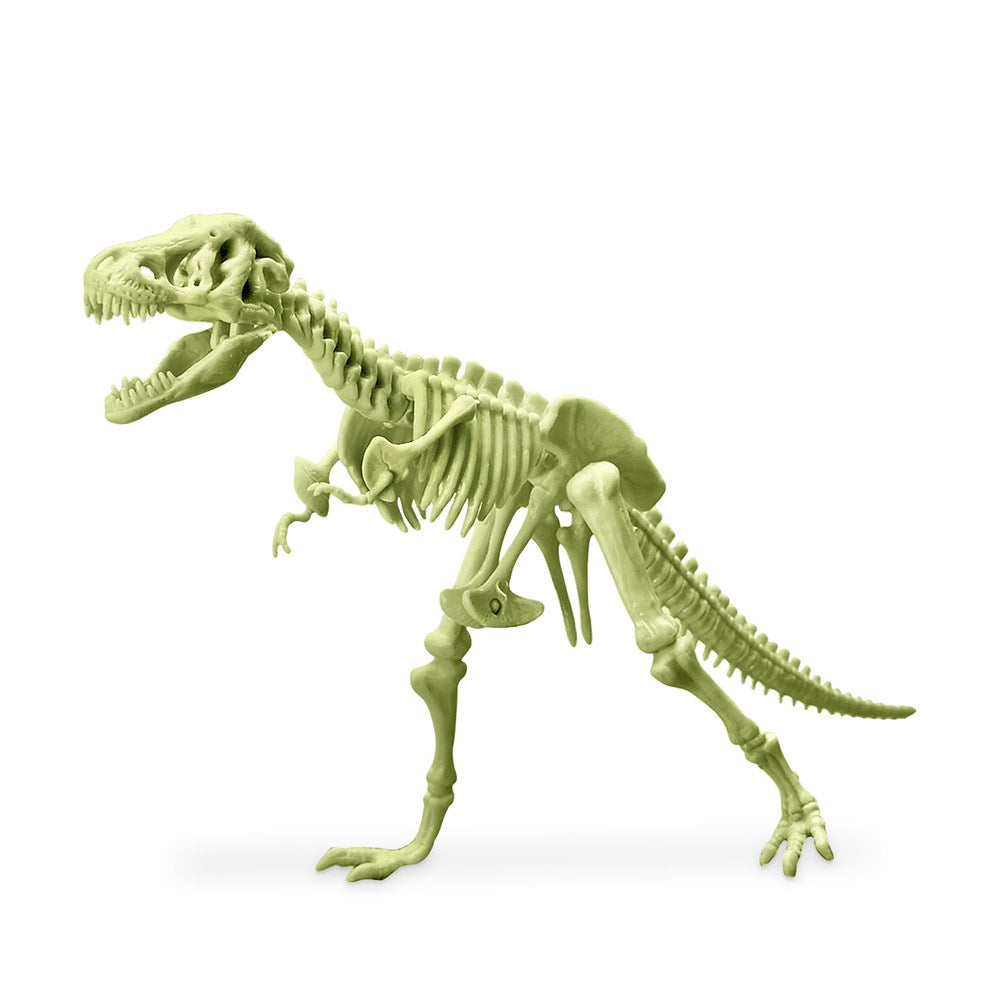 4M KidzLabs - Glowing T-Rex Skeleton - view 3
